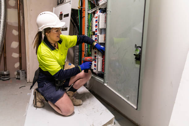 Best Electric Panel Repair  in Taylor, AZ